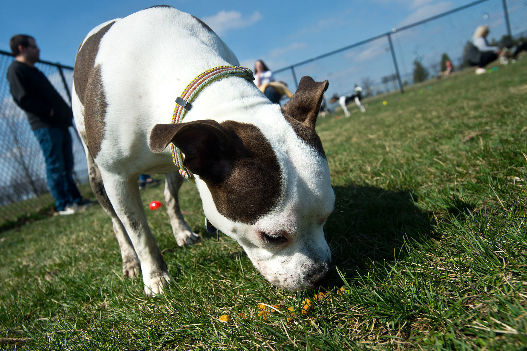 040719-blm-loc-25eastereggs